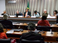 Especialistas apontam necessidade de modelo econômico sustentável para o País 
